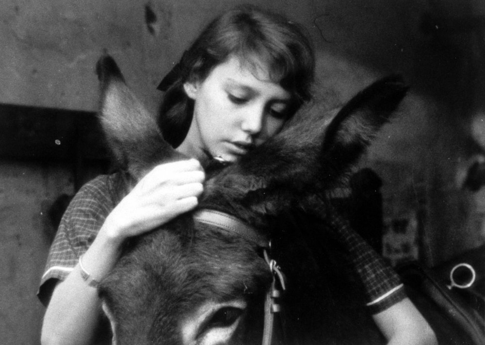 https://www.bfi.org.uk/sites/bfi.org.uk/files/styles/full/public/image/au-hasard-balthazar-1966-025-girl-donkey.jpg?itok=LJa6IeCa